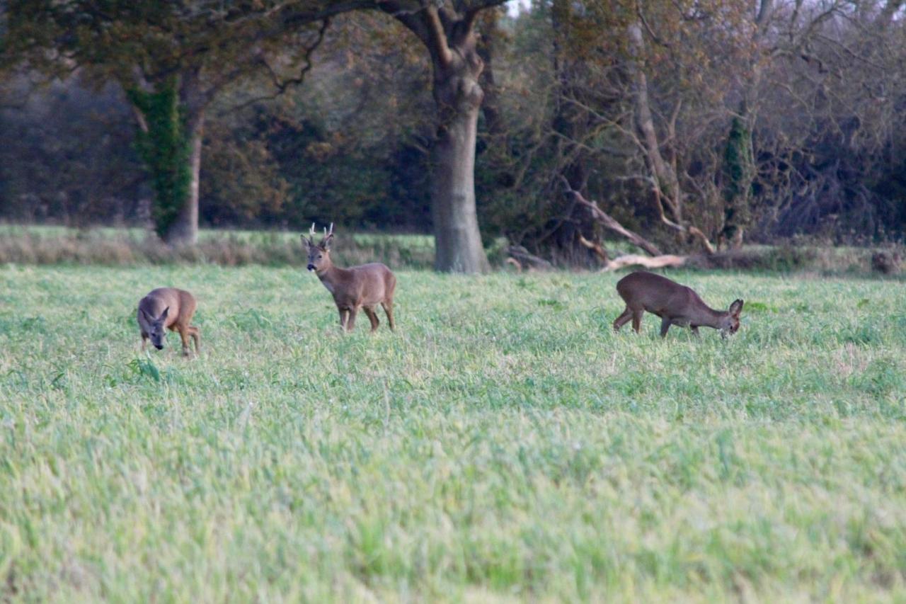Hunston Mill Self Catering Dog Stay For Free Chichester Bagian luar foto